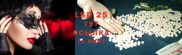 прущие грибы Карталы