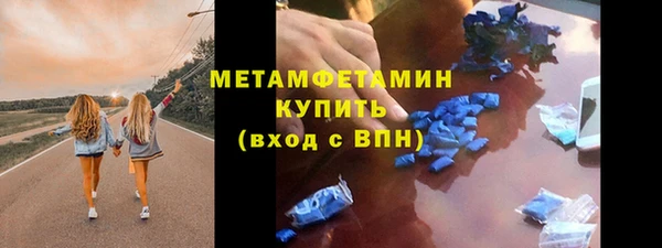 прущие грибы Карталы