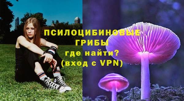 стафф Киреевск