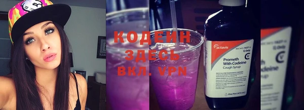 прущие грибы Карталы
