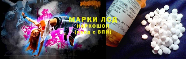 прущие грибы Карталы